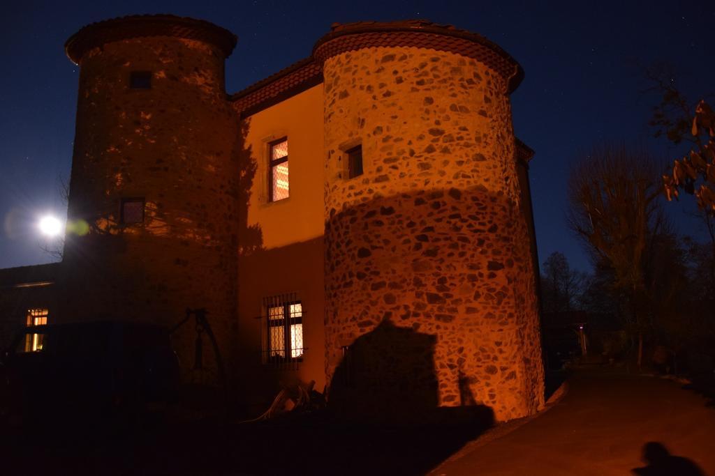 Chateau Des Aiguilles Saint-Rémy-de-Chargnat Exteriör bild