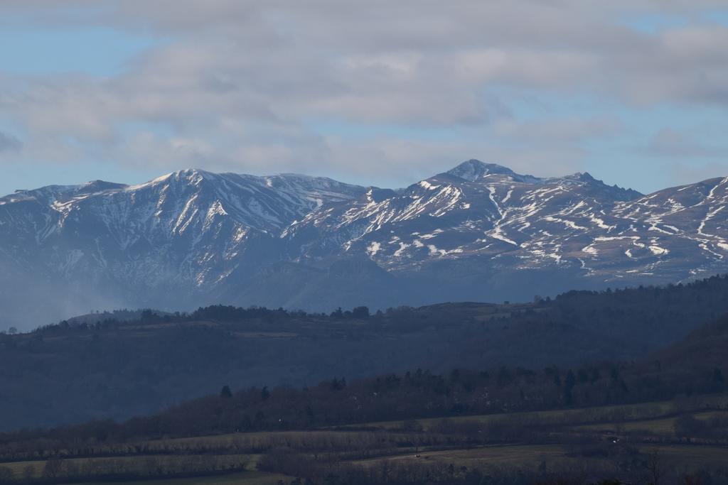 Chateau Des Aiguilles Saint-Rémy-de-Chargnat Exteriör bild