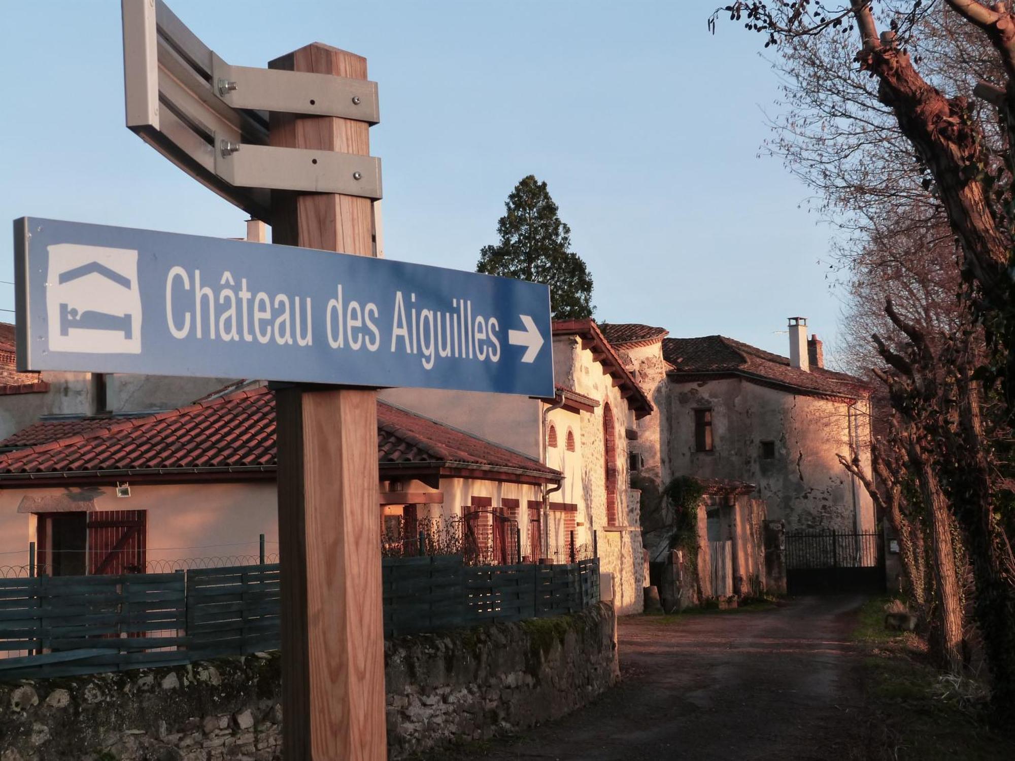 Chateau Des Aiguilles Saint-Rémy-de-Chargnat Exteriör bild