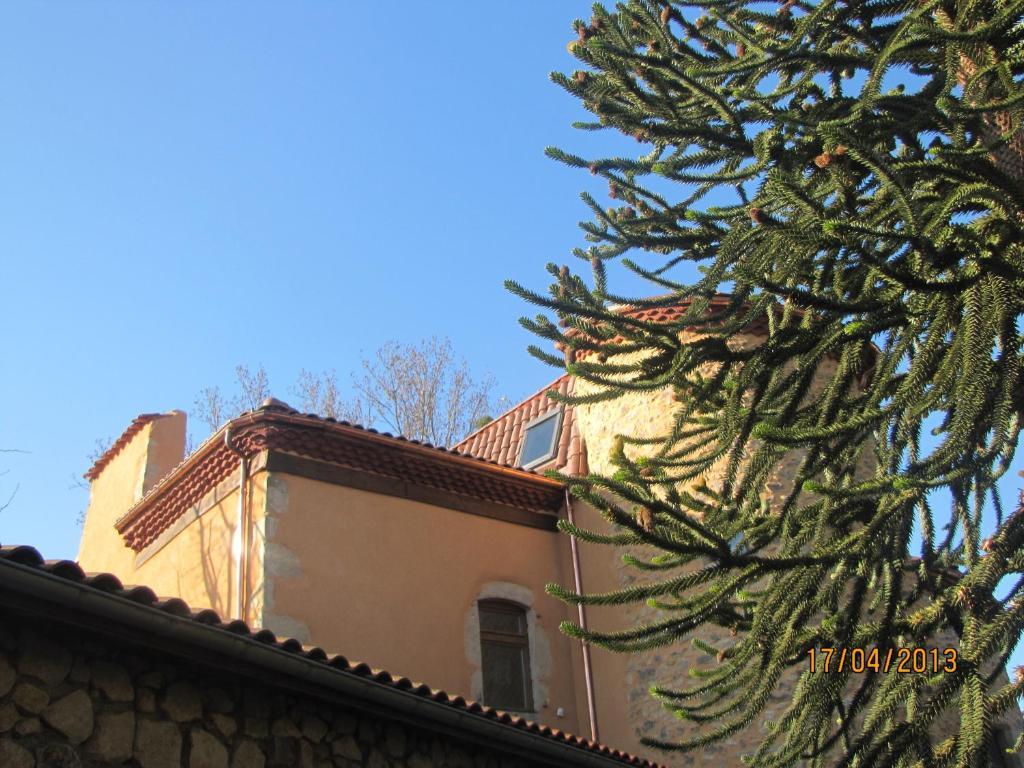 Chateau Des Aiguilles Saint-Rémy-de-Chargnat Exteriör bild