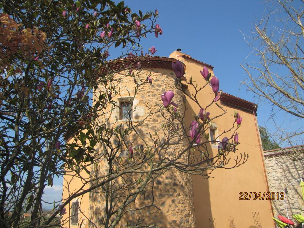 Chateau Des Aiguilles Saint-Rémy-de-Chargnat Exteriör bild